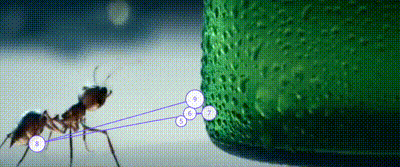 Ant-Man Heineken Gaze PlotGaze Plot and Heat Map -