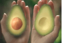 Avocados